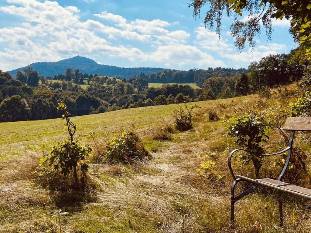 Holiday Home Wiesenhaeusel Großschönau Dış mekan fotoğraf